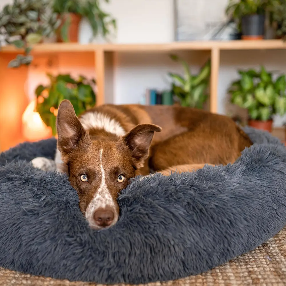 Comfy Faux-Fur Pet Bed