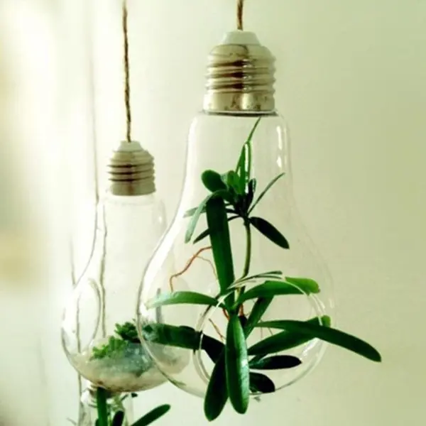 Modern Light Bulb Planter