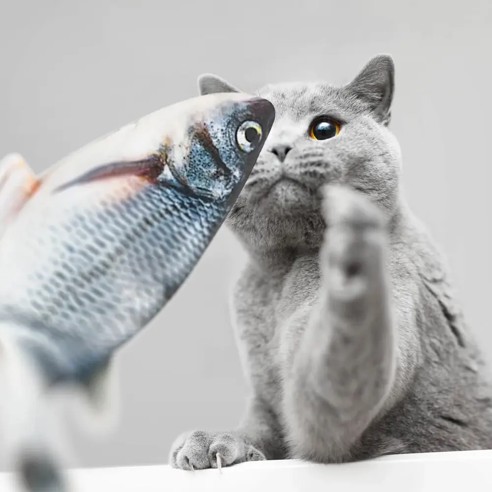 Interactive Floppy Fish Cat Toy